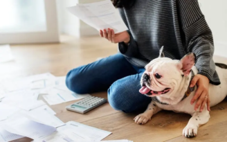 Is pet insurance worth it? Find out now!