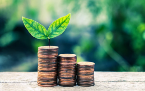 Green Loans Home Improvement: what are they and which are the best?