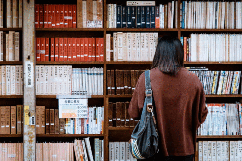 Student Loan Collection Summary: What is it and how to apply?