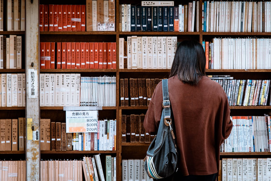 Student Loan Collection Summary: What is it and how to apply?