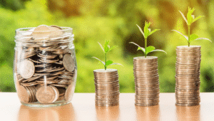 How to Make Your Money Grow at the End of the Year: Smart Strategies